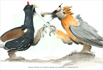 L'art d'identifier les oiseaux par l'humour