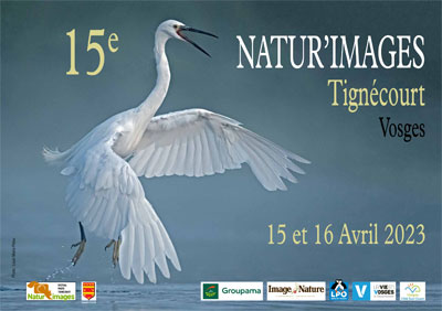Flyer festival Natur'images