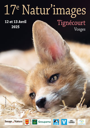 Flyer festival Natur'images