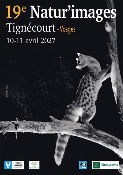 Flyer festival Natur'images